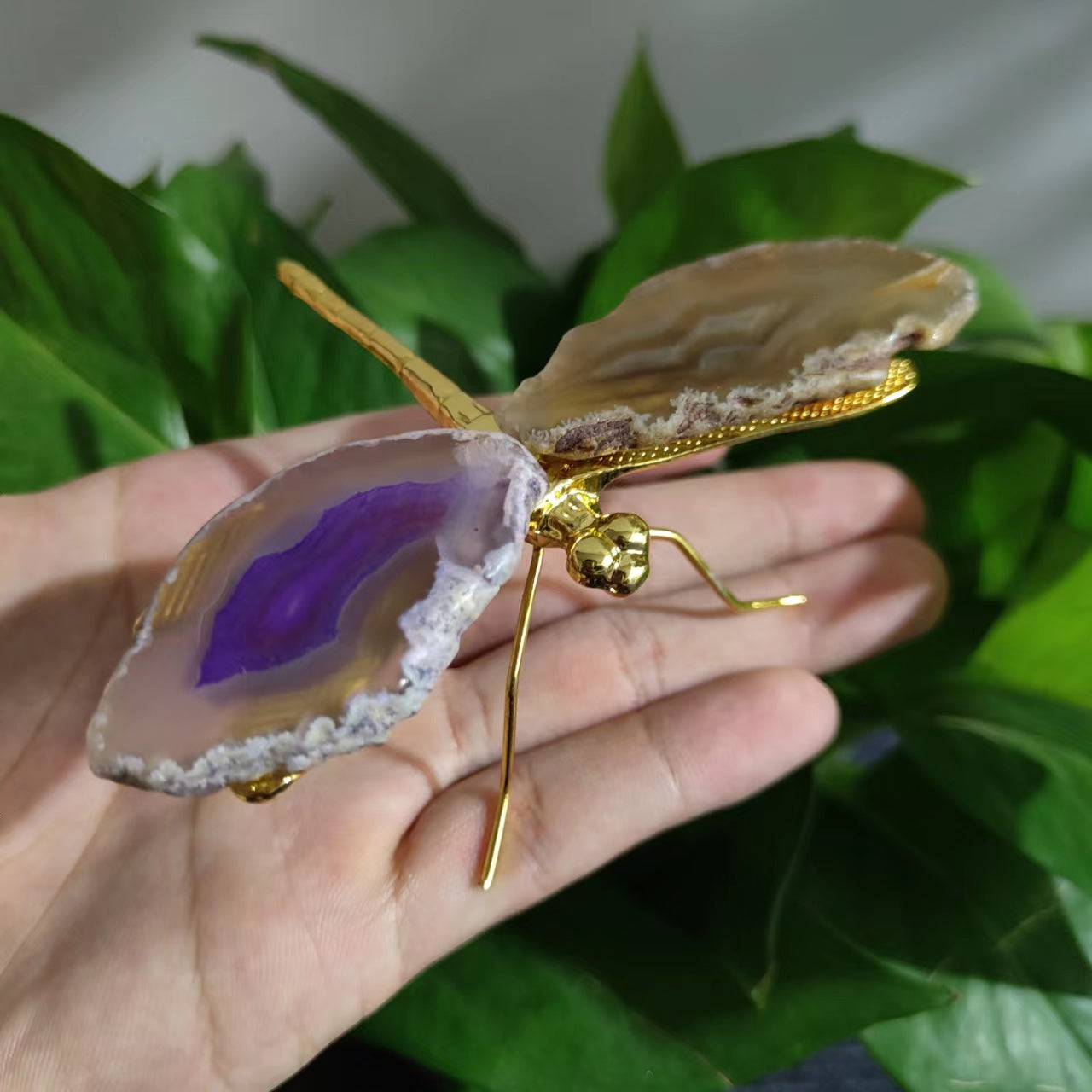 Agate slice dragonfly crystal